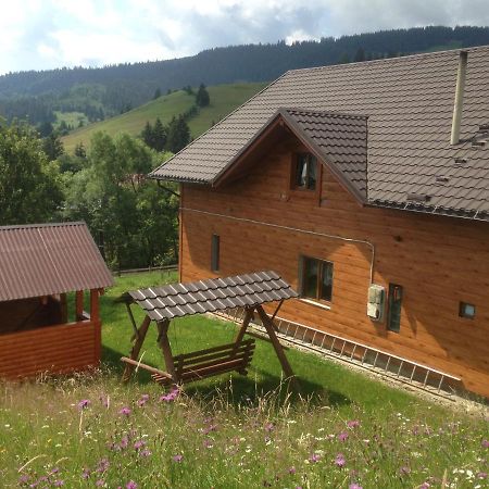 Appartement Карпатська Перлина à Iltsi Extérieur photo