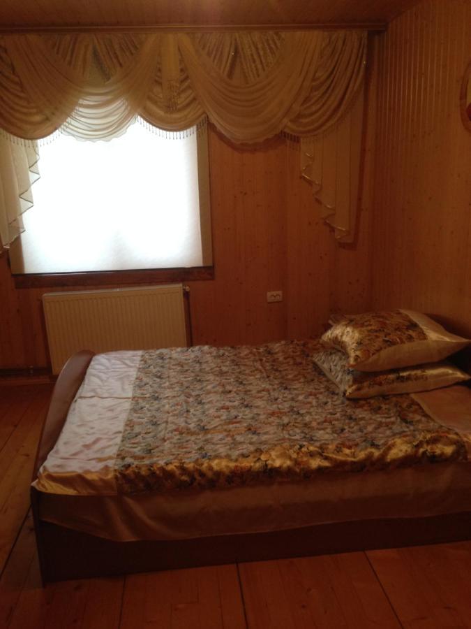 Appartement Карпатська Перлина à Iltsi Extérieur photo